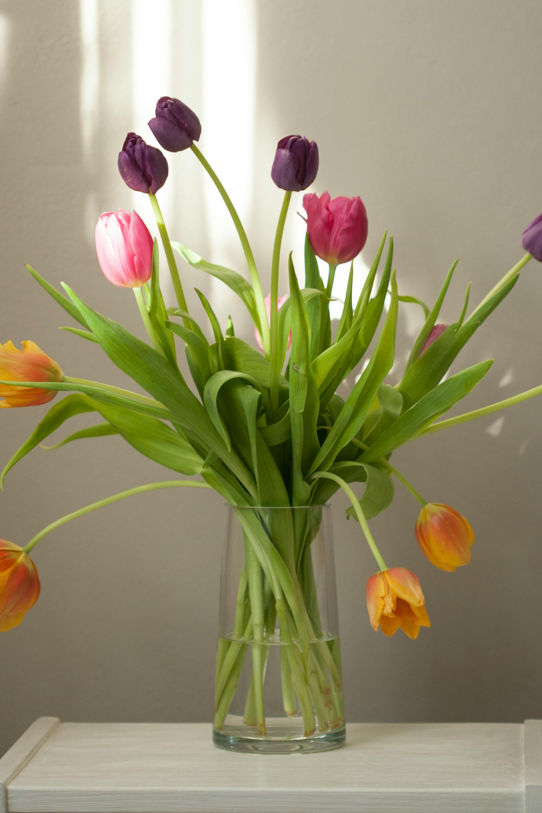 FLOWER SUBSCRIPTION