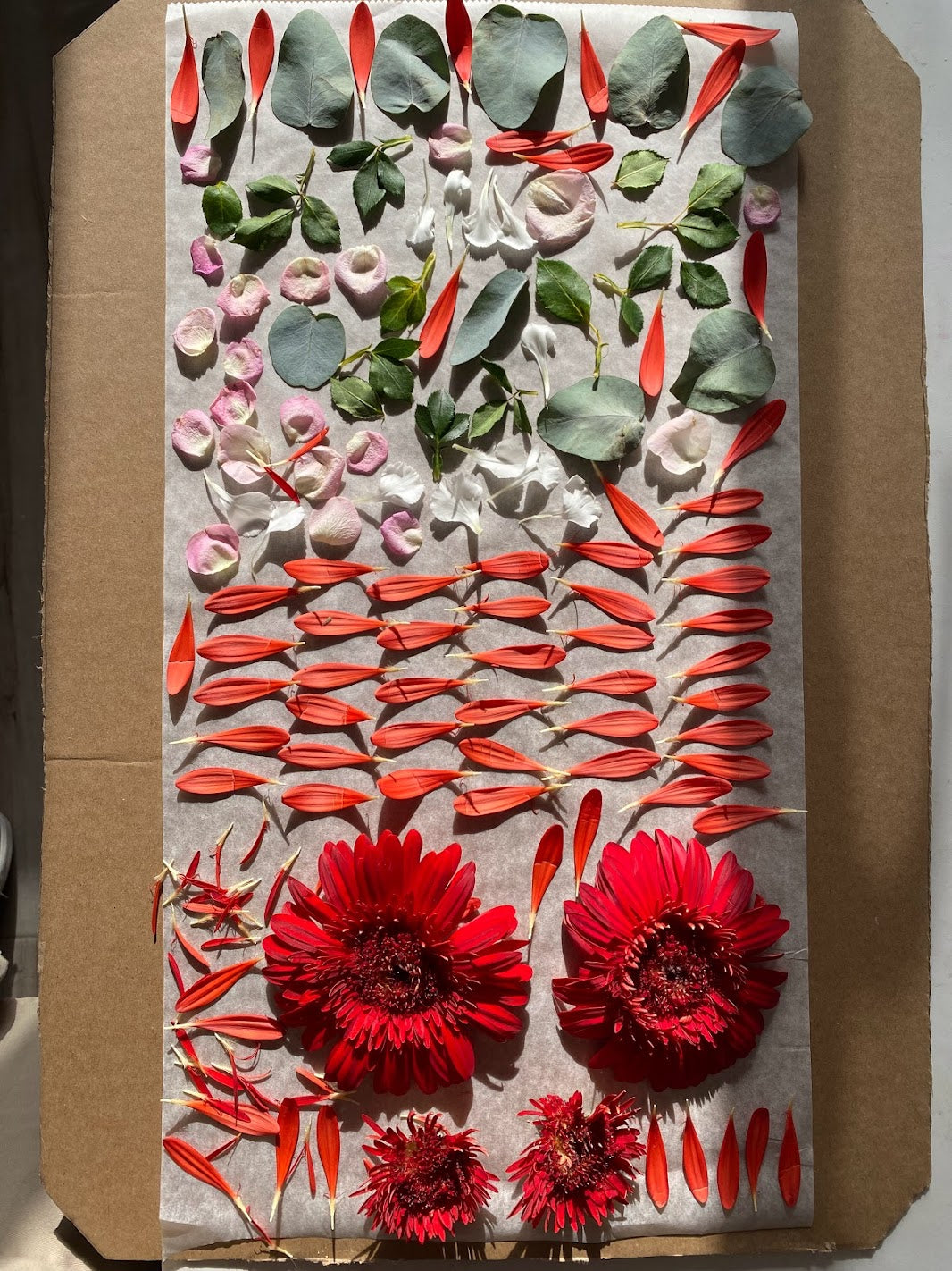 11 DE ABRIL: CREA TU CUADRO CON LAS FLORES PRENSADAS (sábado)