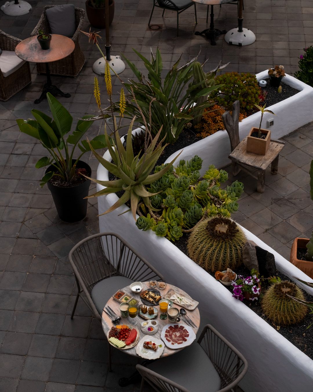 FEBRUARY 22: FLORAL PRINTING WORKSHOP (Saturday)