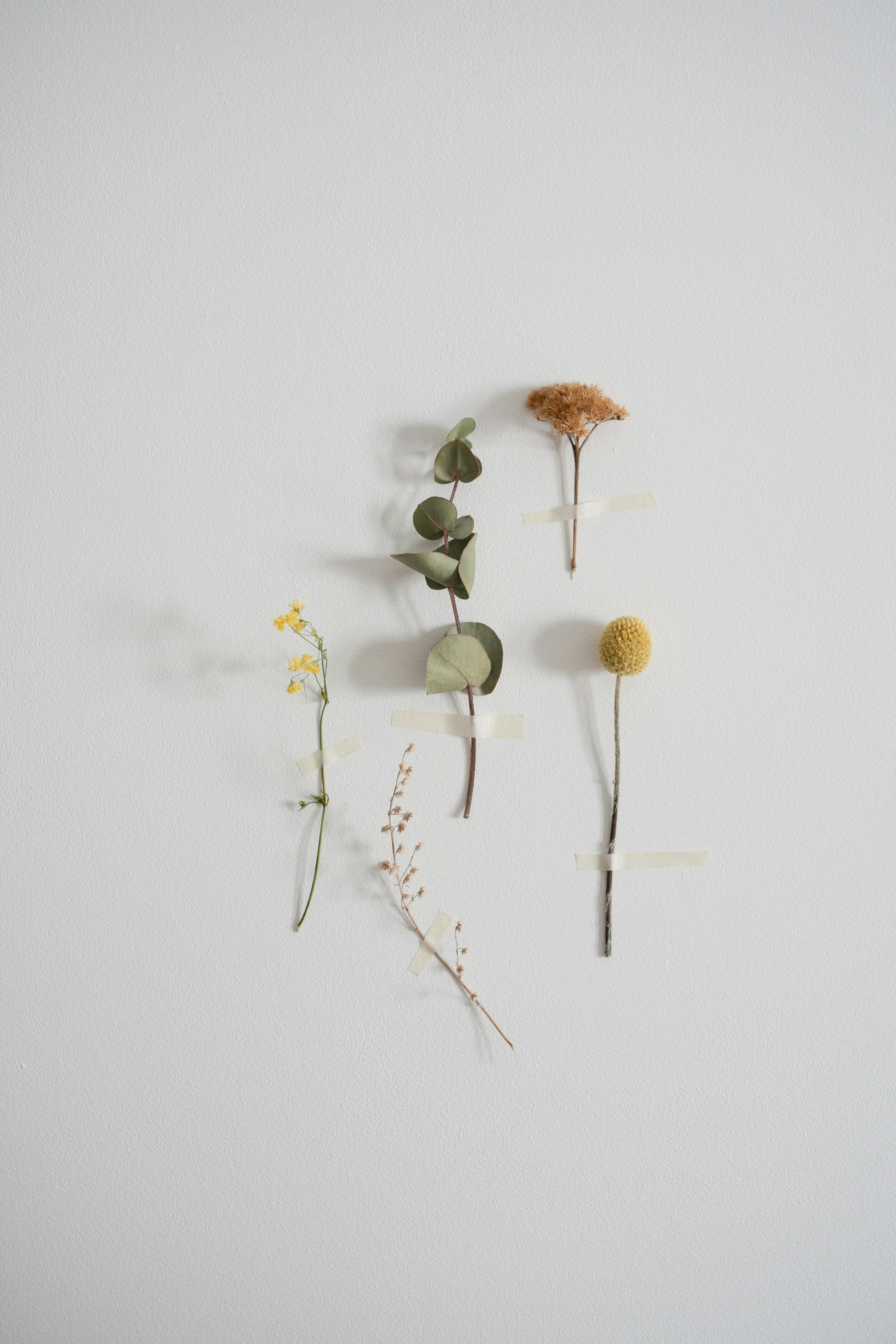 MARCH 6: PRESERVED FLOWER BOUQUET (Friday)
