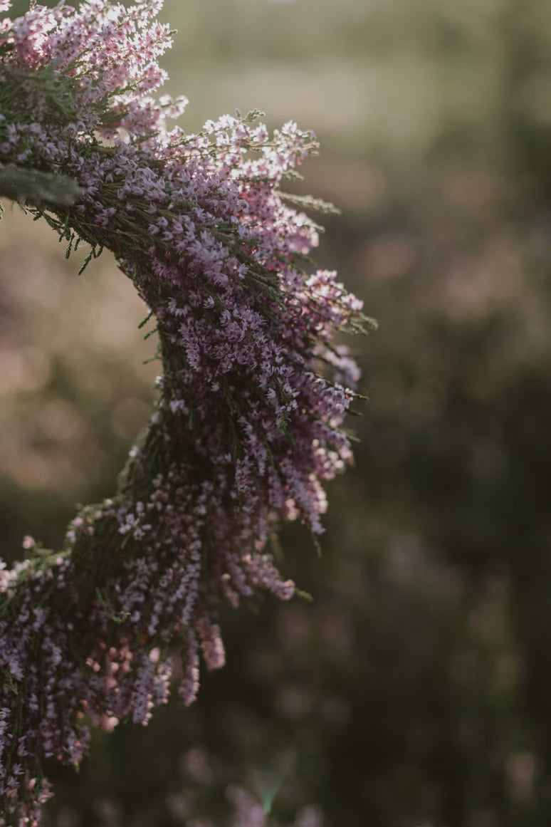 MARCH 6: PRESERVED FLOWER BOUQUET (Friday)