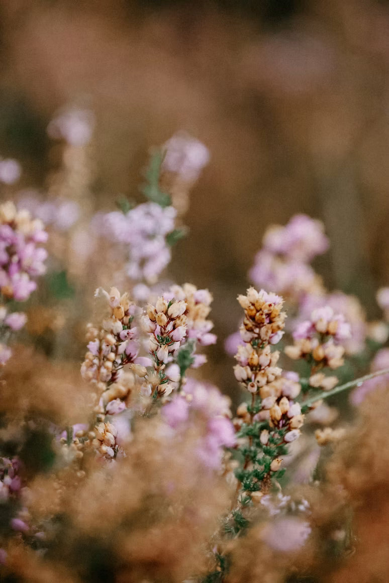 MARCH 6: PRESERVED FLOWER BOUQUET (Friday)